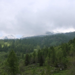 lions-bosco-gurin-8giu2019-(21) - Copy.jpg